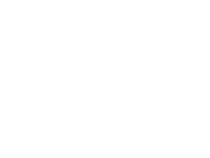 tiktok icon